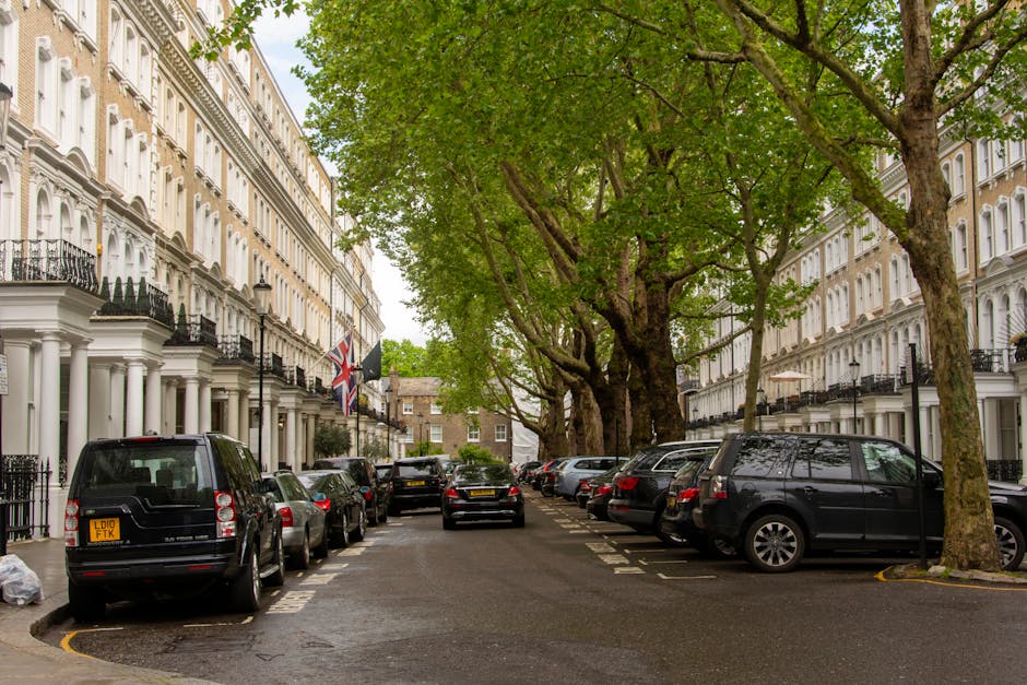 A narrow residential street in Belgravia, London, featuring white Victorian-style terraced buildings on both sides with black wrought-iron balconies and flagpoles displaying the Union Jack and black flags. The street is lined with large, mature trees with dense green foliage, forming a canopy overhead. Numerous parked vehicles, including black, grey, and silver cars, occupy the roadside parking spaces along the curb, with some cars partially visible behind others. The pavement appears slightly wet, indicating recent rain, and the atmosphere suggests daytime with overcast skies. The scene is part of a typical home relocation setting, with the street providing access for moving services such as those offered by Belgravia Removals, who may be assisting with furniture transport or packing and moving operations within this area.